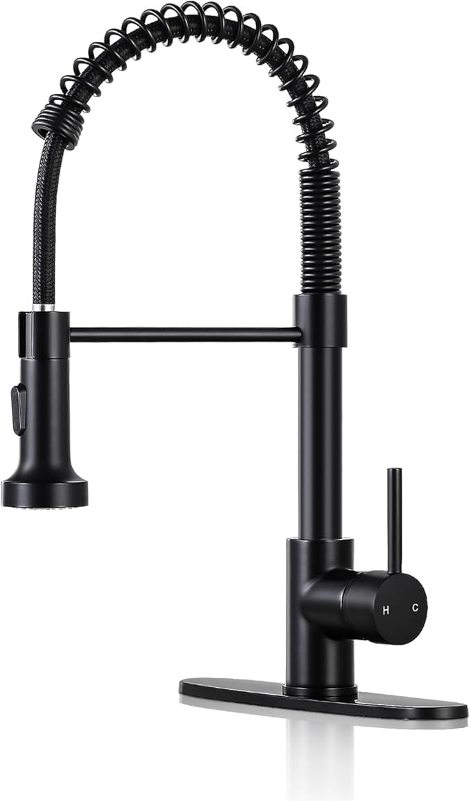 DJS™ High Arc Pull-Down Kitchen Faucet