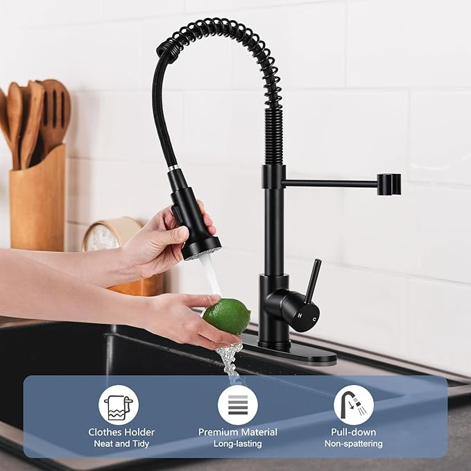 DJS™ High Arc Pull-Down Kitchen Faucet